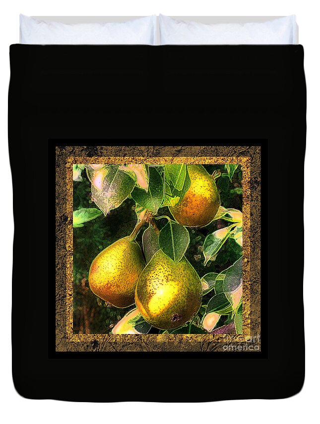 Pear Duvet Cover featuring the photograph Colored Pears by Sari Sauls