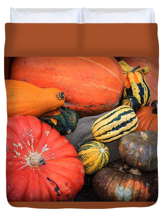 Morton Arboretum Duvet Cover featuring the photograph Colorful Assortment of Pumpkins and Gourds by Joni Eskridge