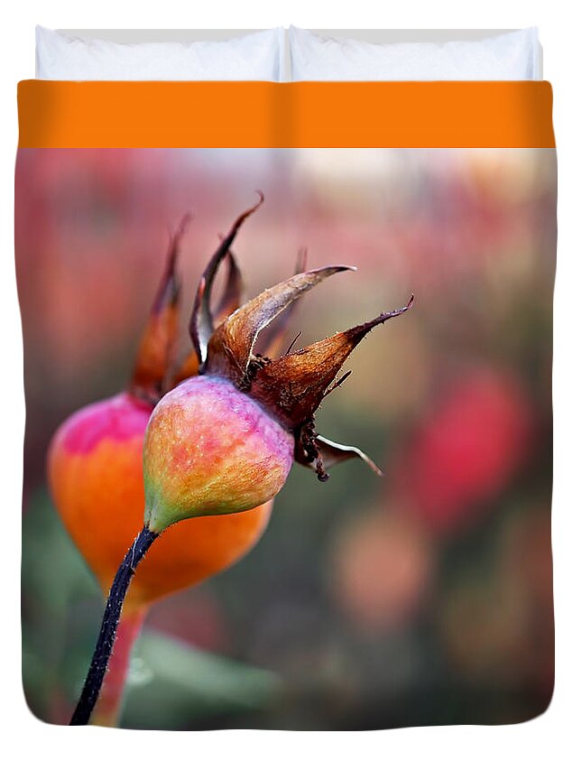 Rose Hips Duvet Cover featuring the photograph Colorful Rose Hips by Rona Black