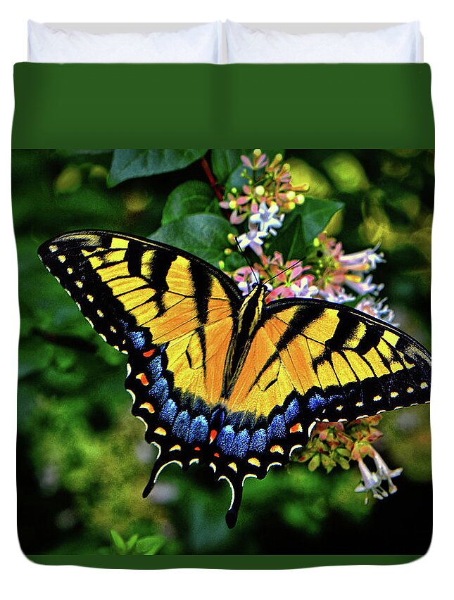 Butterfly Duvet Cover featuring the photograph Colors Of Nature - Swallowtail Butterfly 003 by George Bostian