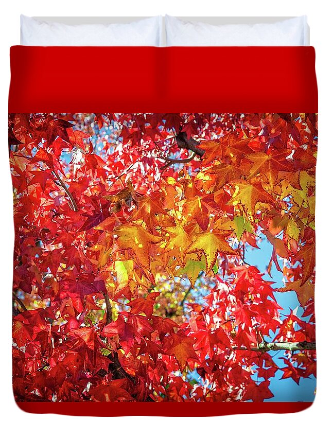Leaves Duvet Cover featuring the photograph Colors of the Season by Lynn Bauer