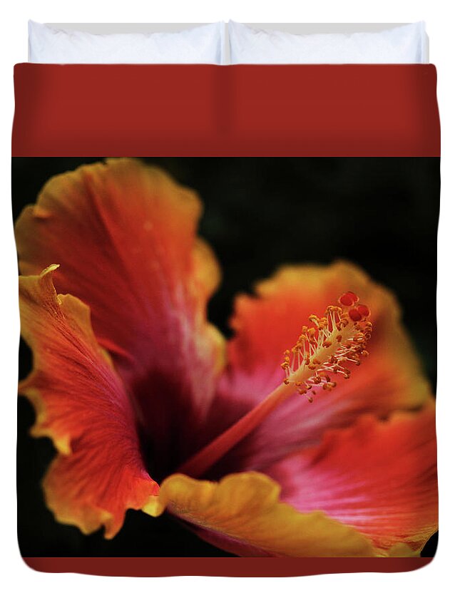 Connie Handsdcomb Duvet Cover featuring the photograph Combustion by Connie Handscomb