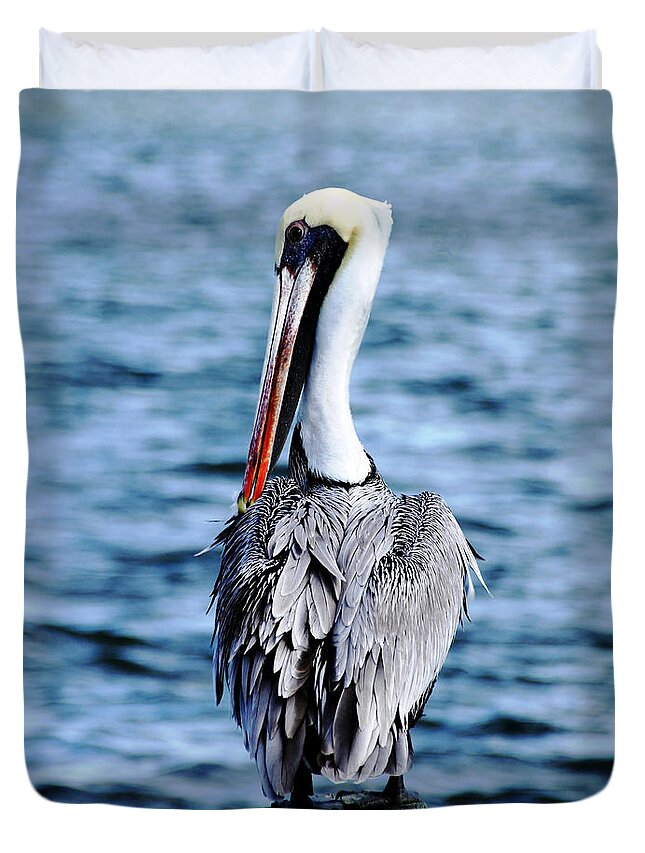 Brown Pelican Duvet Cover featuring the photograph Comically Elegant by Debbie Oppermann