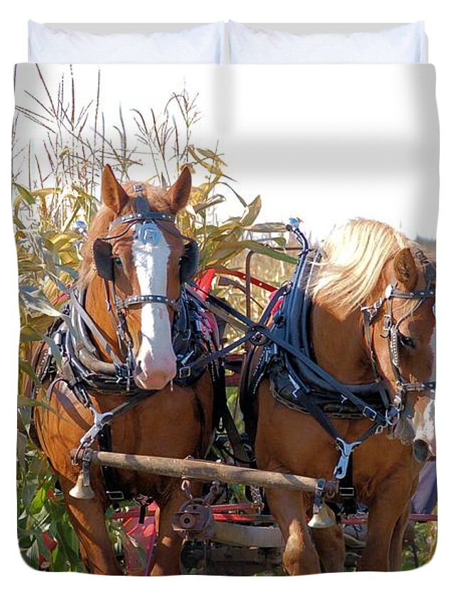Horse Duvet Cover featuring the photograph Coming Through the Corn by Valerie Kirkwood