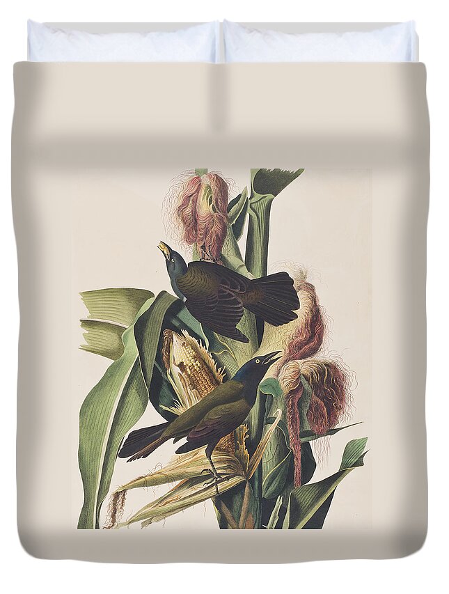 Crow Duvet Cover featuring the painting Common Crow by John James Audubon