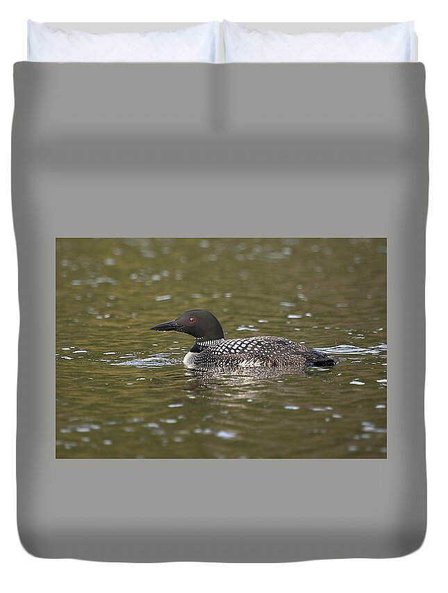 Loon Duvet Cover featuring the photograph Common Loon by Eunice Gibb