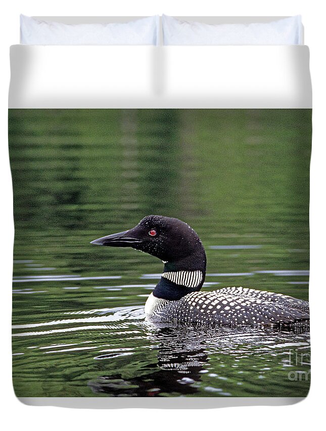 Common Loon Duvet Cover featuring the photograph Common Loon by Kevin Shields