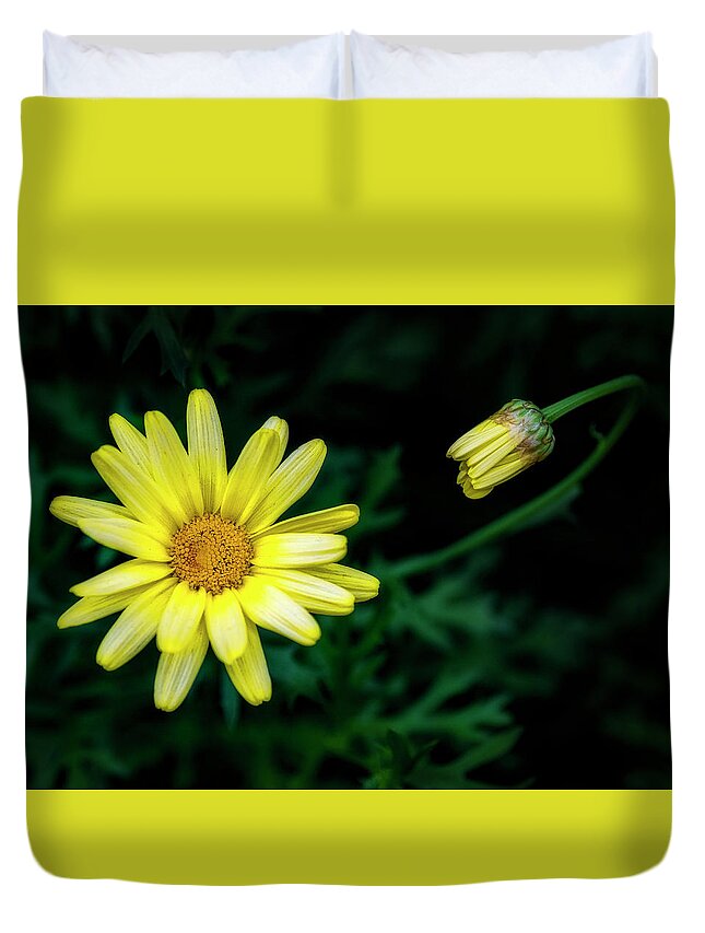 Daisy Duvet Cover featuring the photograph Communications by David Kay