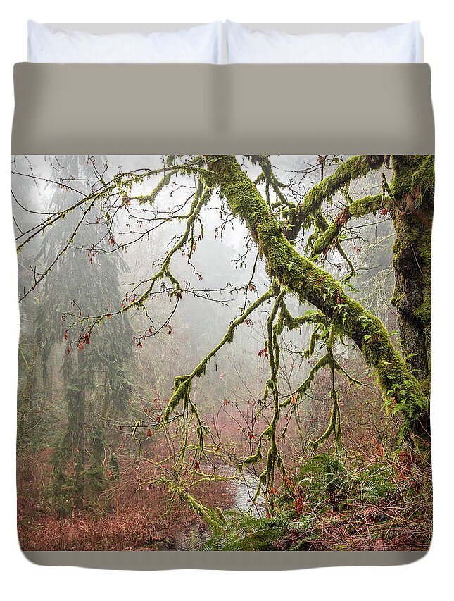 Landscapes Duvet Cover featuring the photograph Mist In The Forest by Claude Dalley
