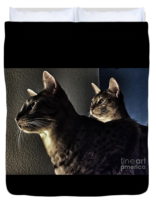 Sales Duvet Cover featuring the photograph Companions by Jenny Revitz Soper