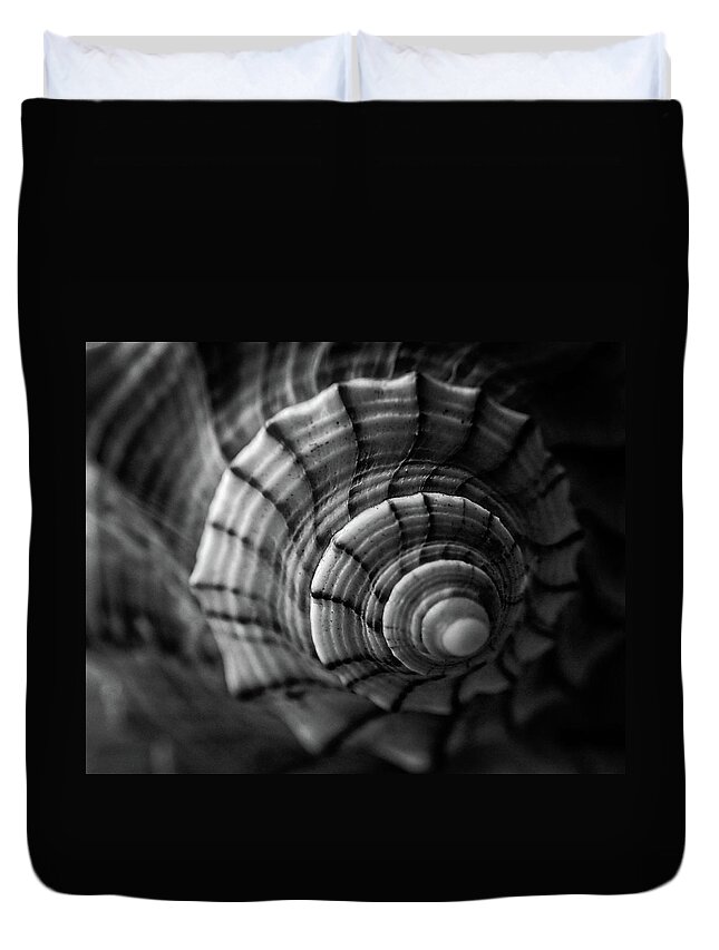 Conch Duvet Cover featuring the photograph Conch Shell In Black And White by Greg and Chrystal Mimbs