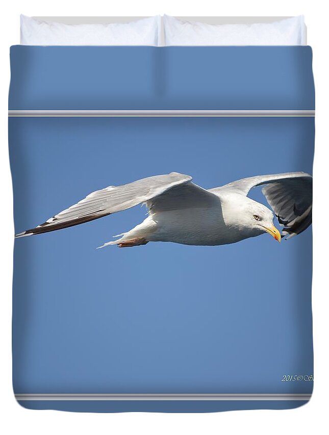 Ambition Duvet Cover featuring the photograph Confident Flight by Sonali Gangane