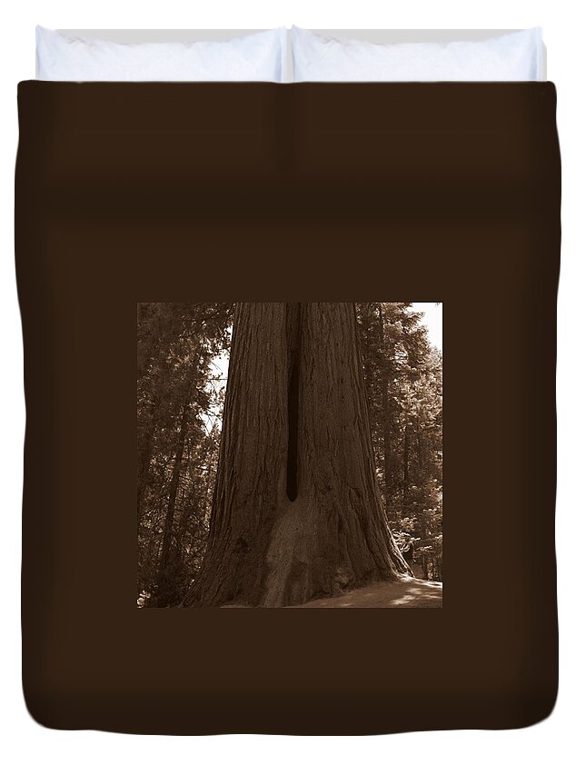 I Believe In Giants Duvet Cover featuring the photograph Contemplating Greatness #2 by Leah McPhail