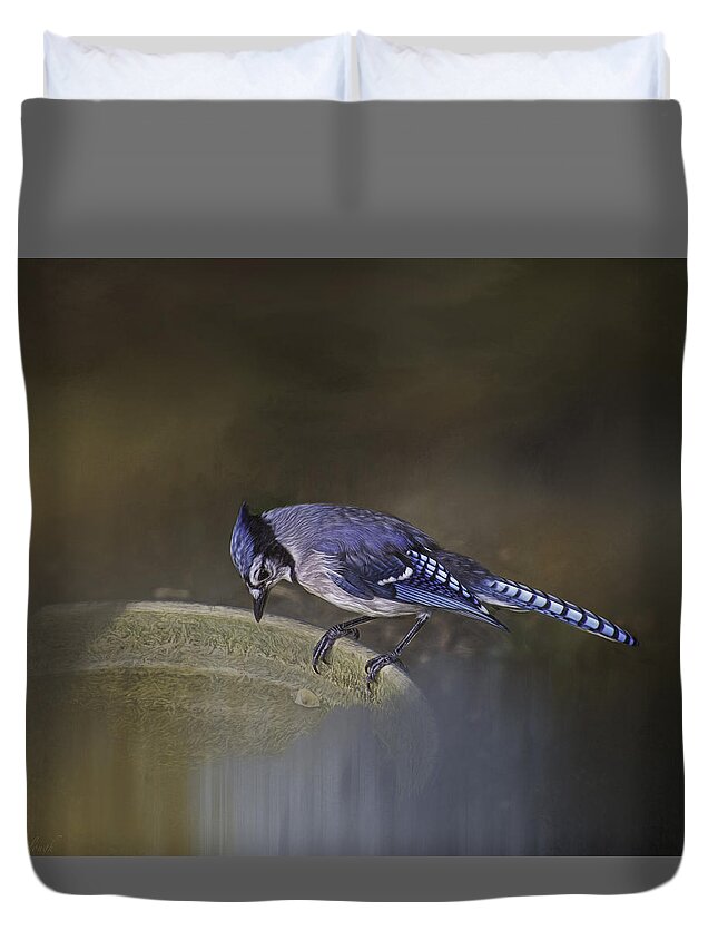 Bluejay Duvet Cover featuring the photograph Contemplation by Mary Clough