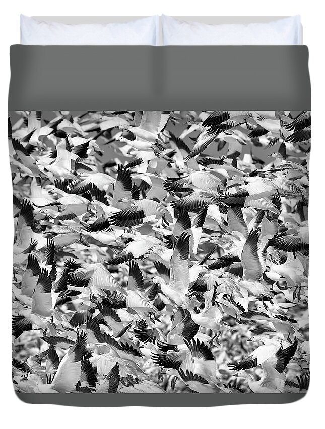 Snow Duvet Cover featuring the photograph Controlled Chaos BW by Everet Regal