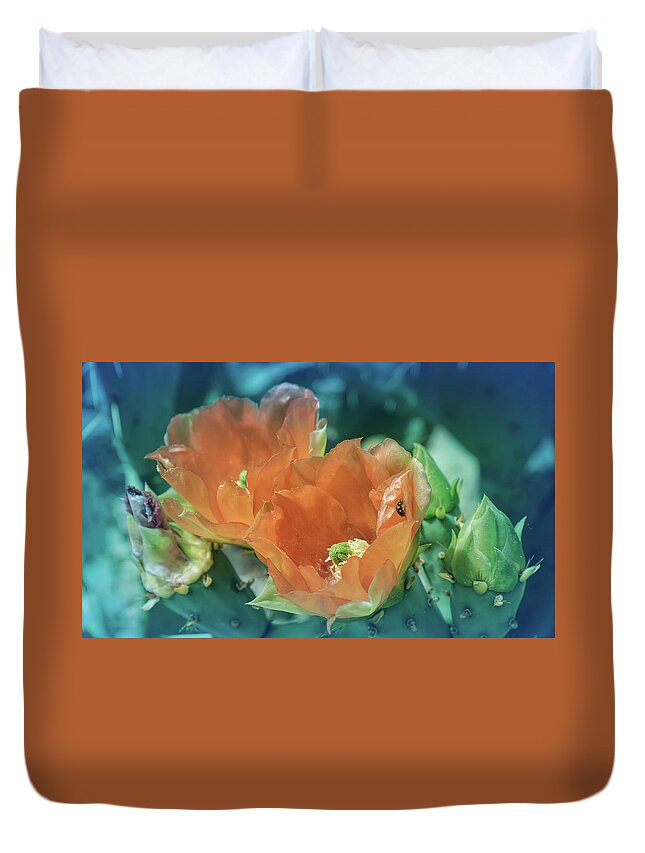 Cactus Duvet Cover featuring the photograph Cool Blue Orange prickly Pear Blossoms by Aimee L Maher ALM GALLERY