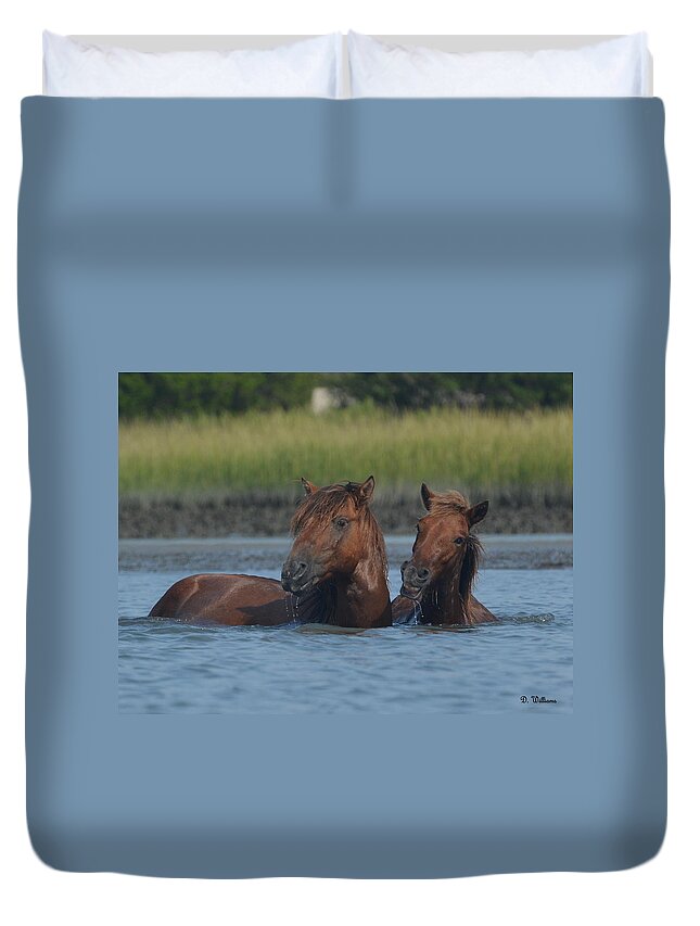Island Horse Duvet Cover featuring the photograph Cool Water, Nice Smile by Dan Williams