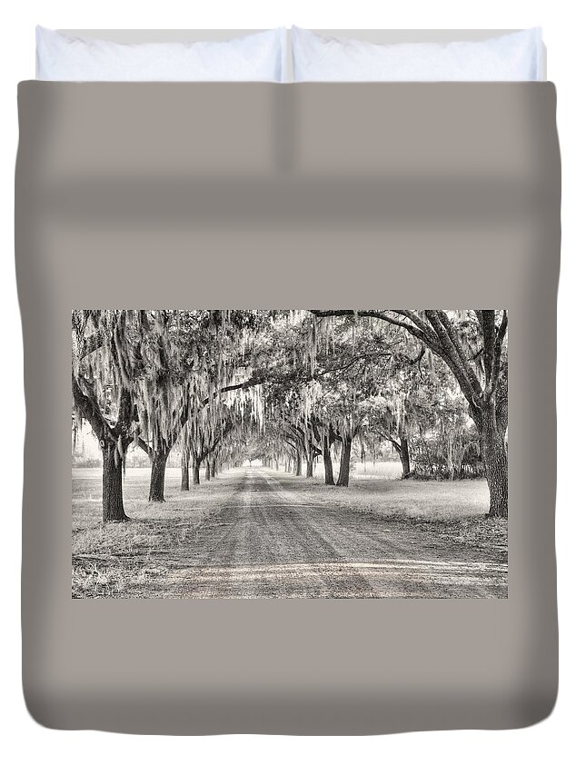 Fog Duvet Cover featuring the photograph Coosaw Plantation Avenue of Oaks by Scott Hansen