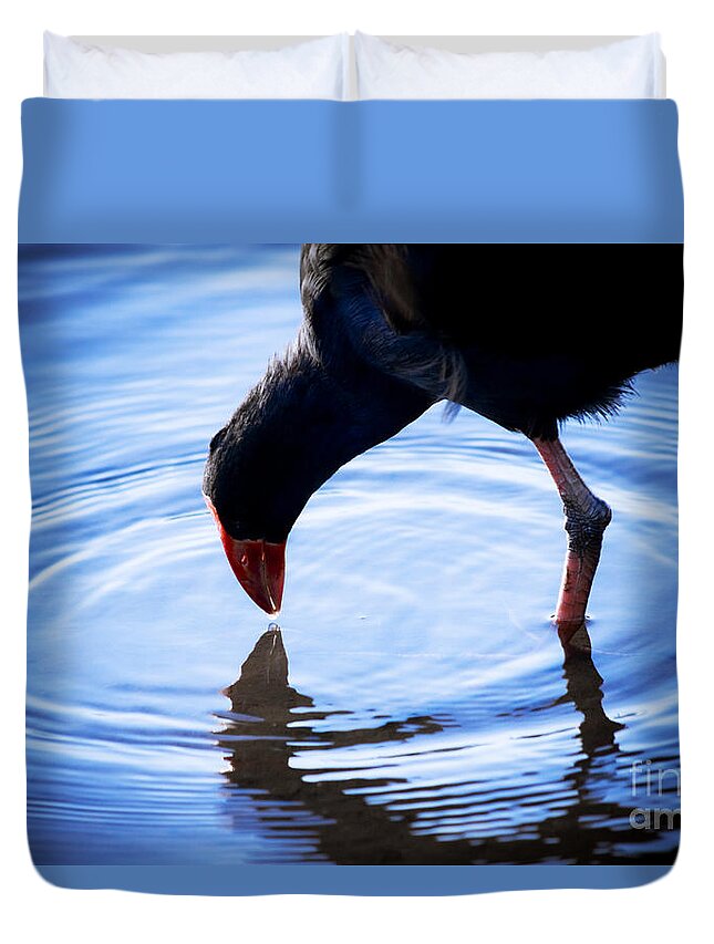 Wildlife Duvet Cover featuring the photograph Coot Pond Droplet by Jorgo Photography