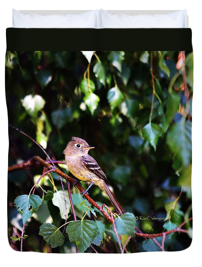 Bird Duvet Cover featuring the photograph Cordilleran Flycatcher by Kae Cheatham