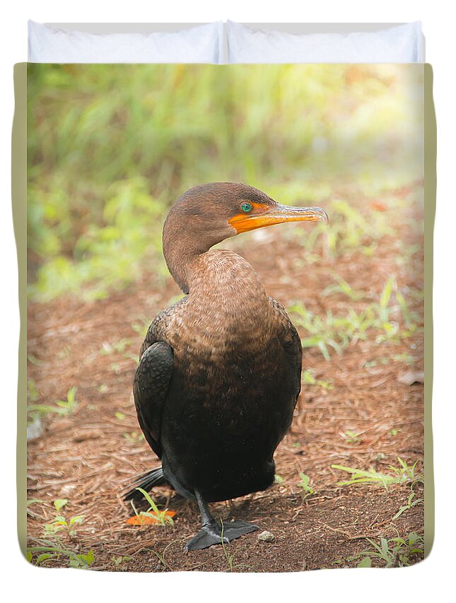 Alone Duvet Cover featuring the photograph Cormorant by Amanda Mohler