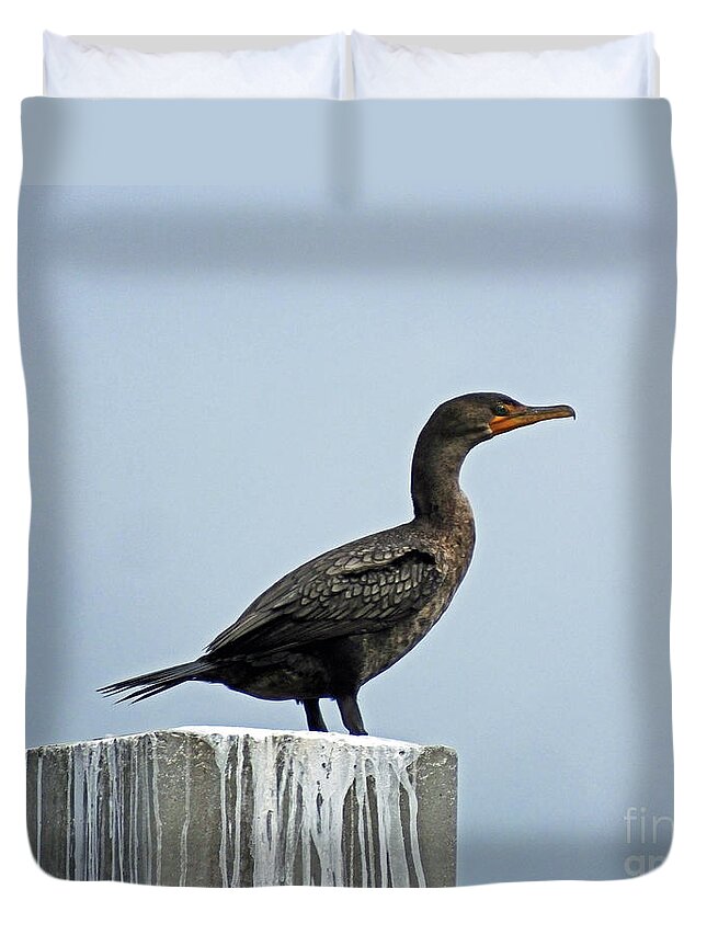 Bird Duvet Cover featuring the photograph Cormorant Perdido Key by Lizi Beard-Ward