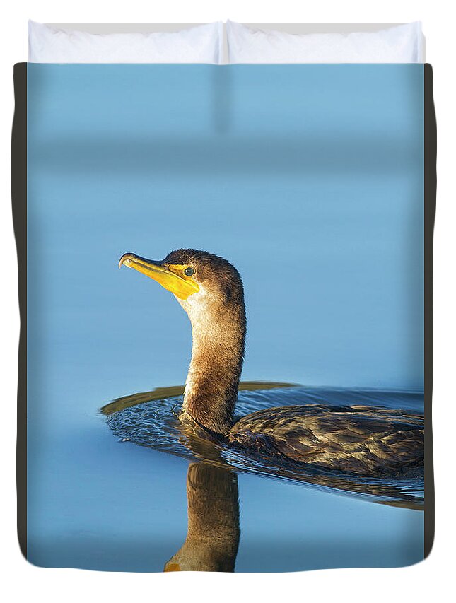 Cormorant Duvet Cover featuring the photograph Cormorant Reflection by Mark Miller