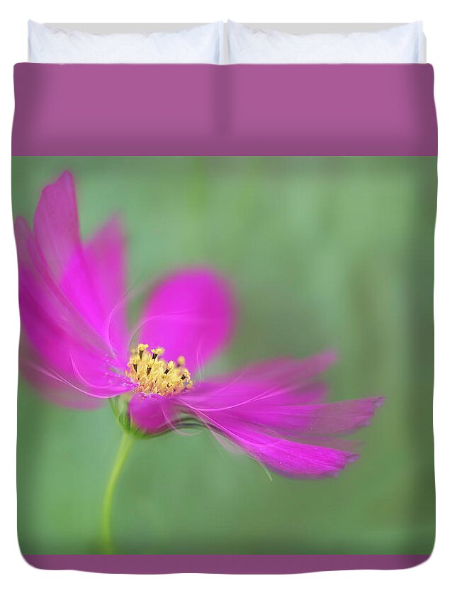 Macro Duvet Cover featuring the photograph Cosmos gets ready for the prom. by Usha Peddamatham