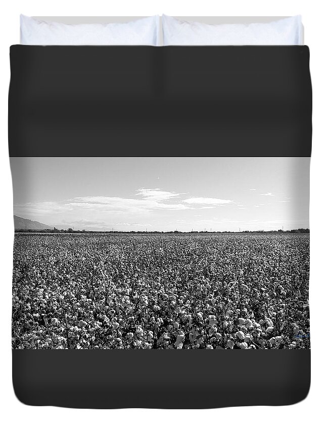 Cotton Field Duvet Cover featuring the photograph Cotton Field 5 by Kume Bryant