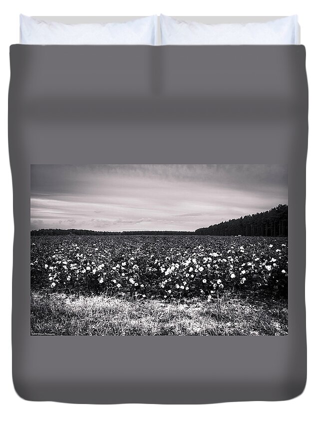 Cotton Duvet Cover featuring the photograph Cotton Fields Black and White by Debra Forand