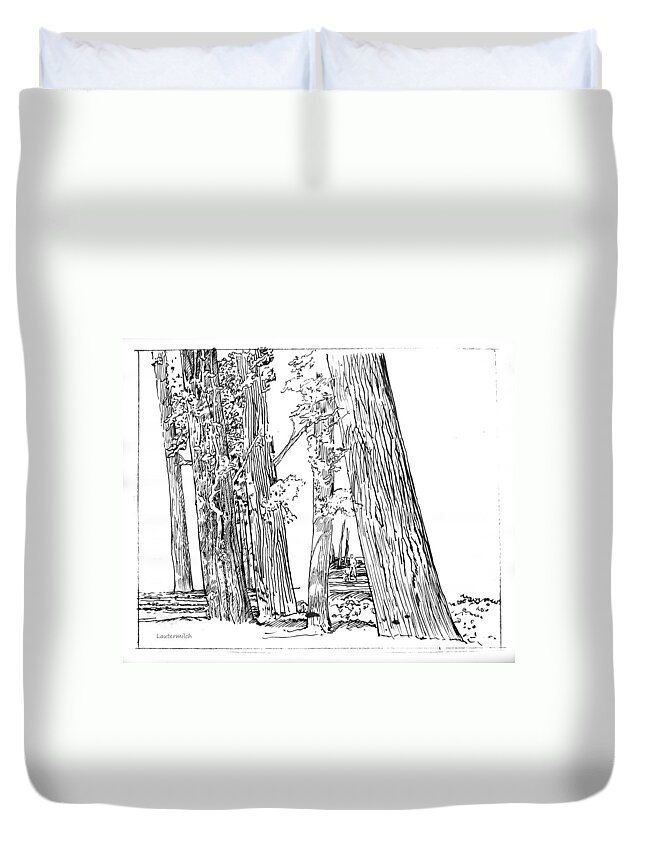 Ink Drawing Duvet Cover featuring the drawing Cotton Woods Creve Coeur Path by John Lautermilch