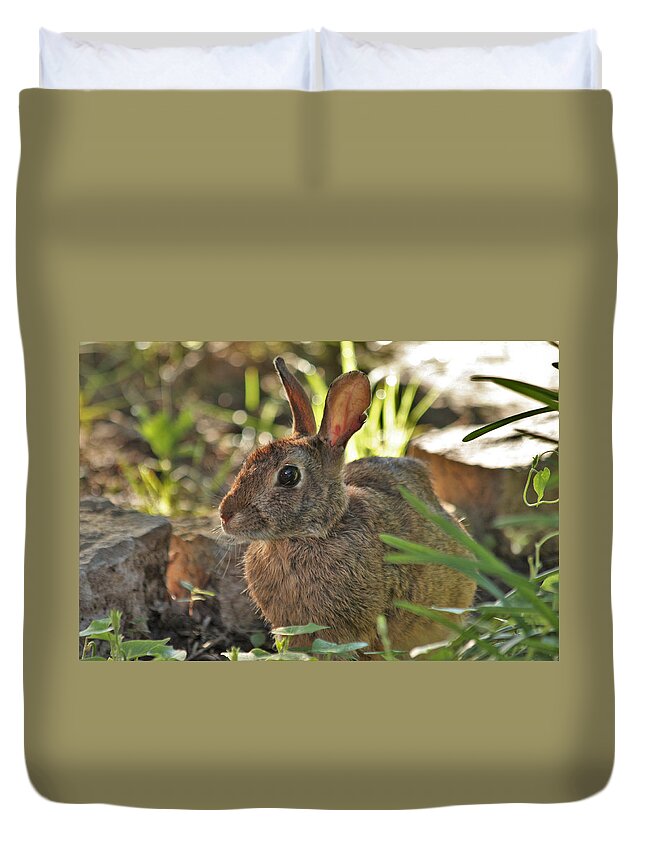Nature Duvet Cover featuring the photograph Cottontail Rabbit by Sheila Brown