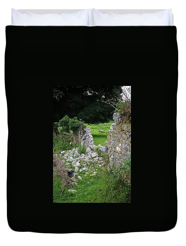 Ireland Duvet Cover featuring the photograph Counting sheep by Matt MacMillan