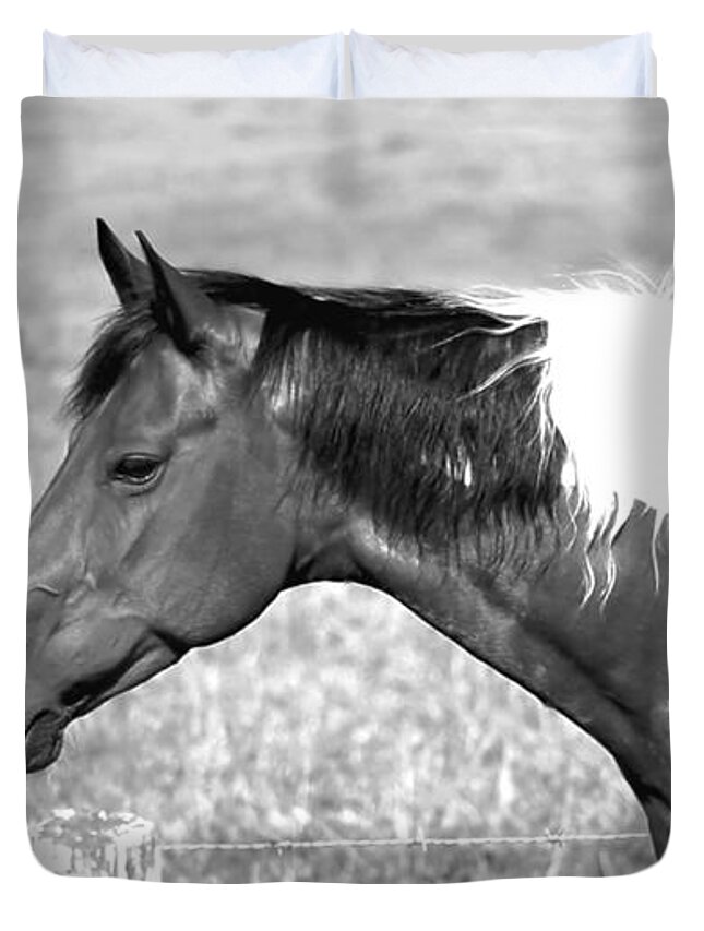 Landscape Duvet Cover featuring the photograph Country Horse in Black and White by Morgan Carter