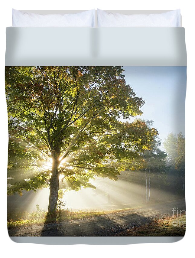 Morning Light Rays Duvet Cover featuring the photograph Country Road by Alana Ranney