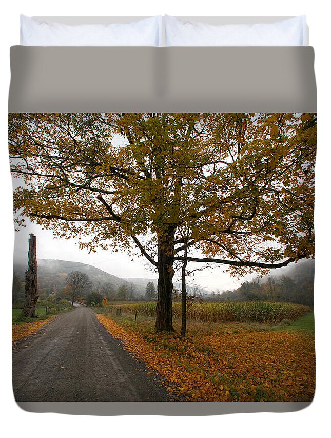 Country Fall Trees Field Road Drive Mountains Mountain Duvet Cover featuring the photograph Country Road by Robert Och