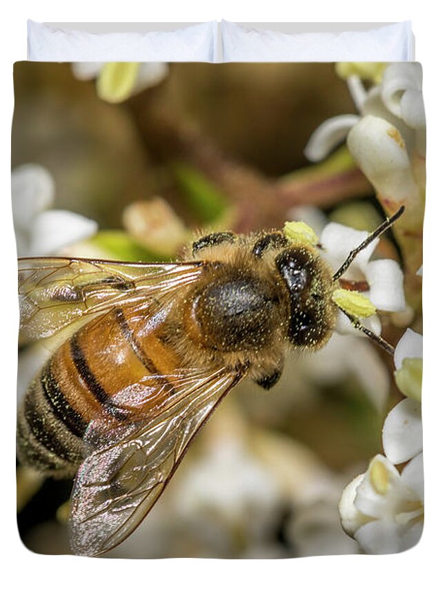 Feeding Duvet Cover featuring the photograph Covered in Pollen by Shawn Jeffries