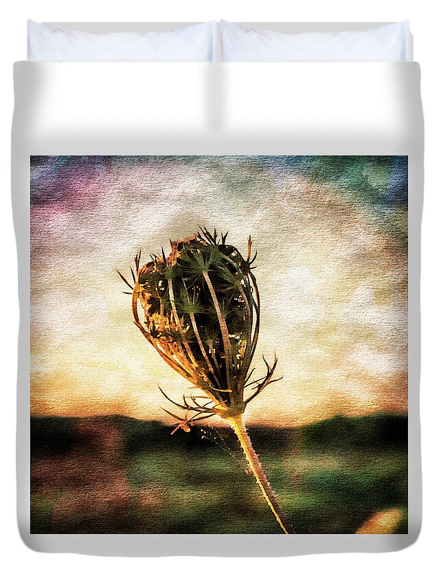 Cow Parsley Duvet Cover featuring the photograph Cow Parsley Seedhead. by John Paul Cullen