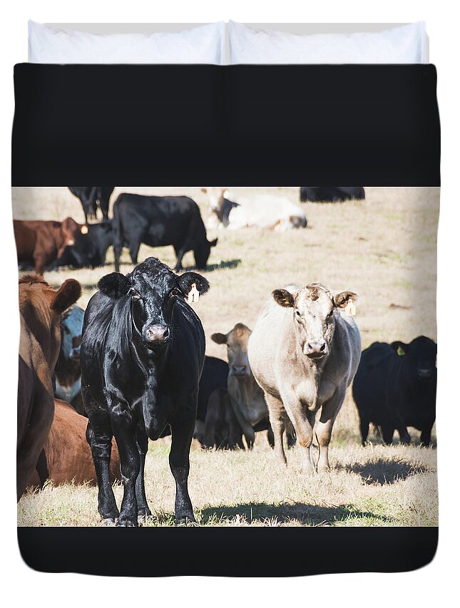 Farm Duvet Cover featuring the photograph Cow portrait by Andrea Anderegg