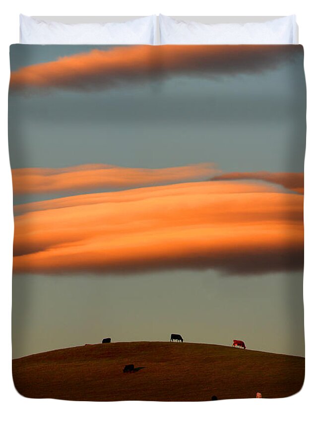 Hills Duvet Cover featuring the photograph Cows Graze under the Sunset Clouds in Sonoma County California by Wernher Krutein