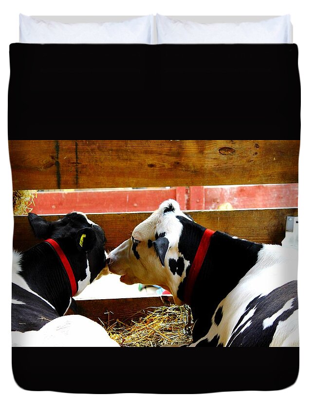 Cows Duvet Cover featuring the photograph Cows by Karl Rose