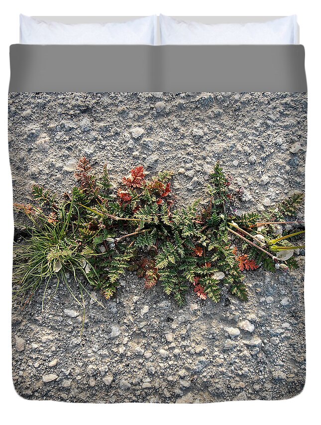 Weeds Duvet Cover featuring the photograph Crack Corsage by Stan Magnan