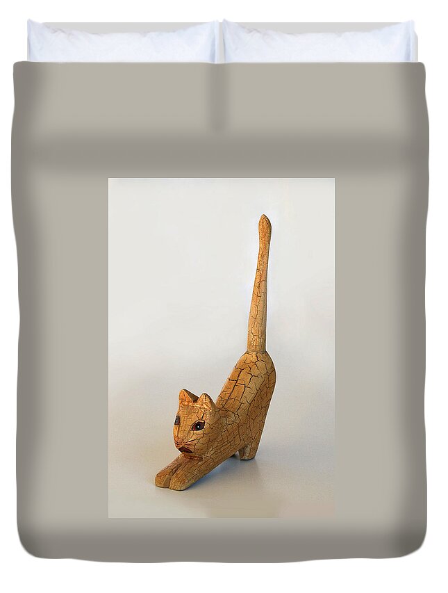 Crackle Duvet Cover featuring the photograph Crackle Cat 4 by Marna Edwards Flavell