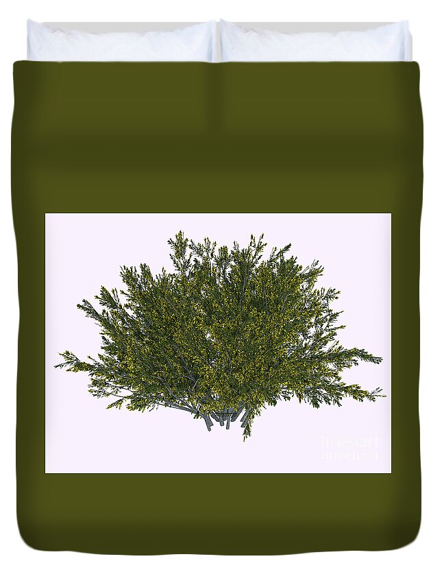 3d Illustration Duvet Cover featuring the digital art Creosote Bush by Corey Ford