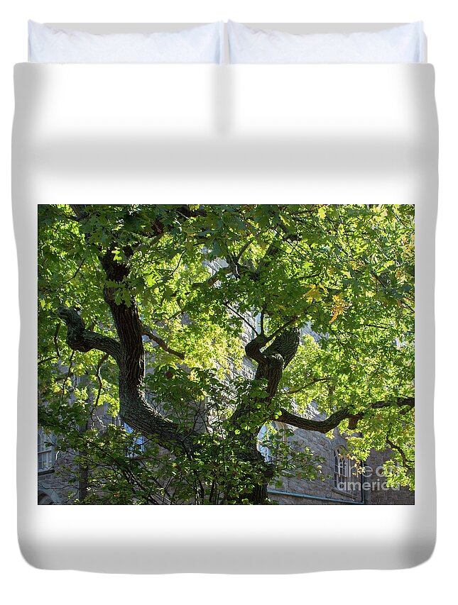 Tree Duvet Cover featuring the photograph Crooked Trunk by Cheryl Del Toro