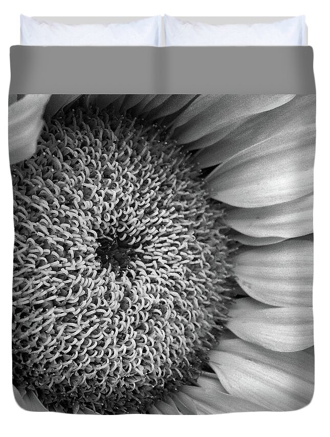 Sunflower Duvet Cover featuring the photograph Cropped Sunflower B W by David T Wilkinson