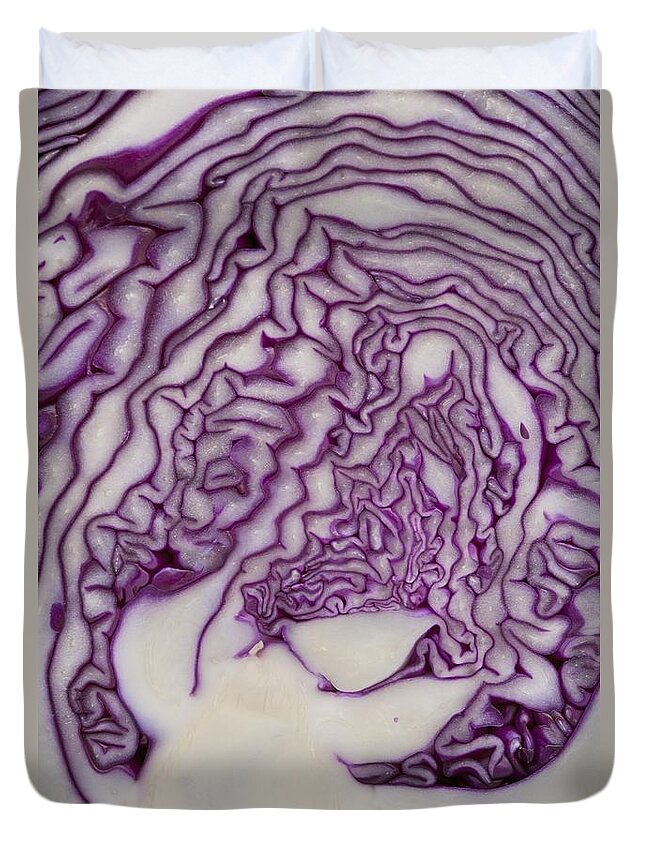 Cross Section Of A Red Cabbage Calgary Duvet Cover For Sale By