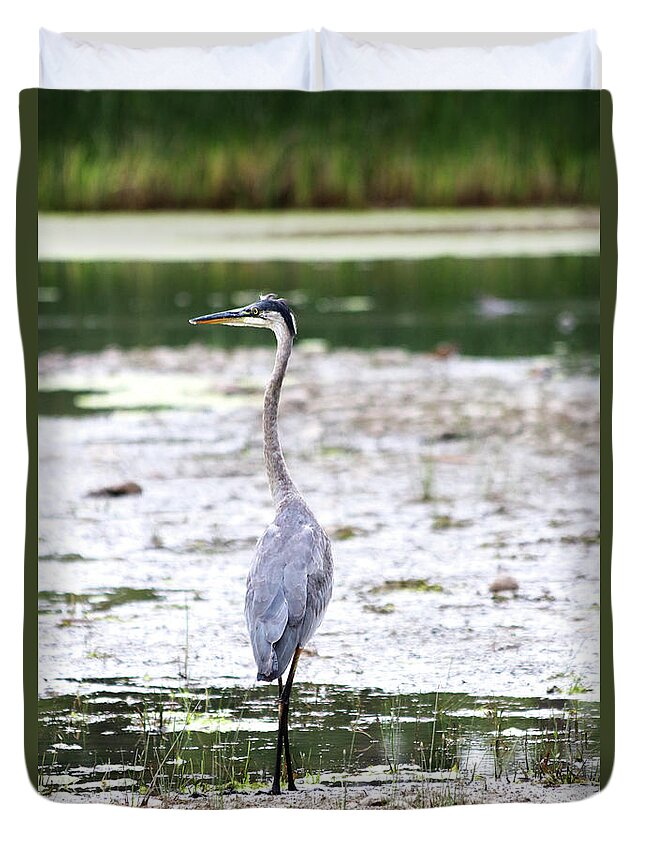 Bird Duvet Cover featuring the photograph Cross Your Legs by Alyce Taylor