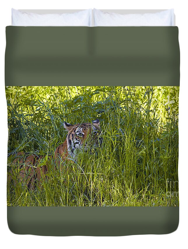 Crouching Tiger Duvet Cover featuring the photograph Crouching Tiger by Keith Kapple
