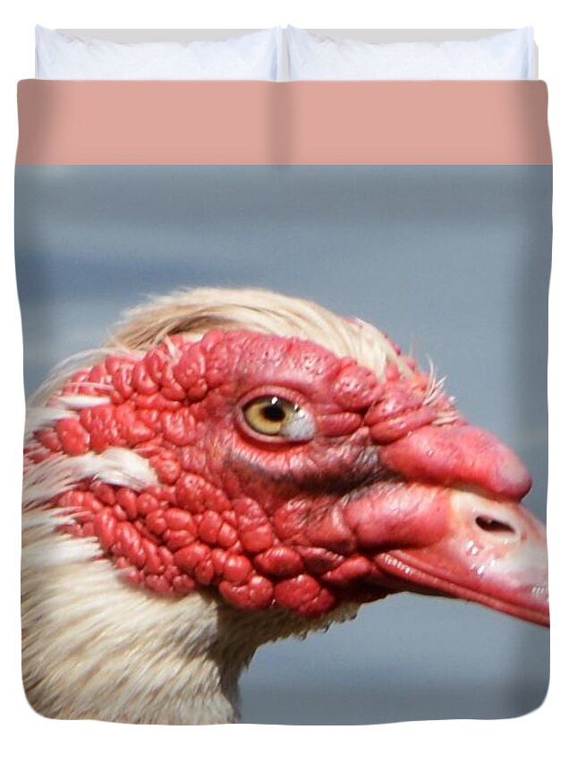 Geese Duvet Cover featuring the photograph Crying Goose by Dani McEvoy